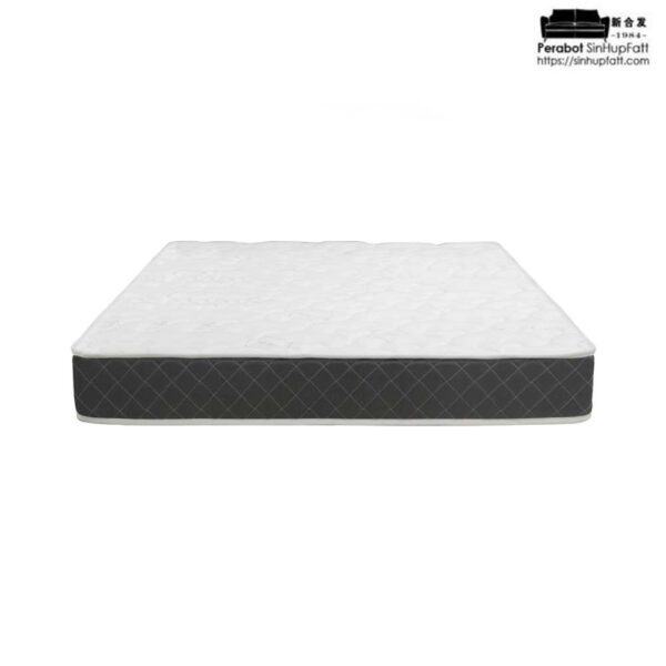 Goodnite Alaska Rebond Foam Mattress 5