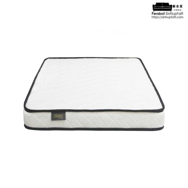 Goodnite Catalina Rebond Foam Mattress 5 Inch with Single