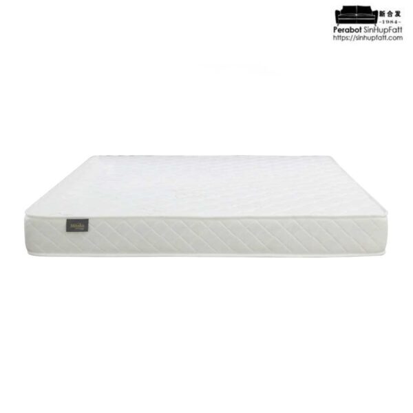 Goodnite Mitaka Rebond Foam Mattress 5 8 Inch with Queen