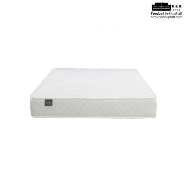 Goodnite Mitaka Rebond Foam Mattress 5 8 Inch with Single