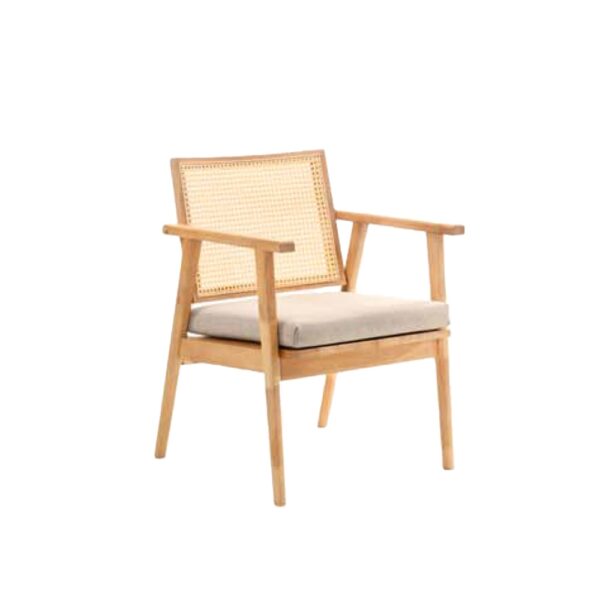 HK Wooden Series P12 HKDC CANE background