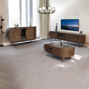 Vintage and Versatile Cabinet Set